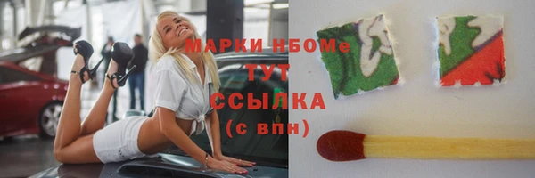 соль ск Вяземский
