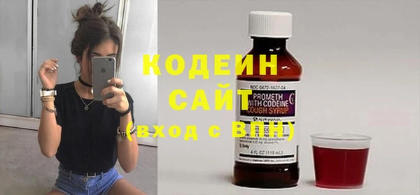 прущие грибы Горнозаводск
