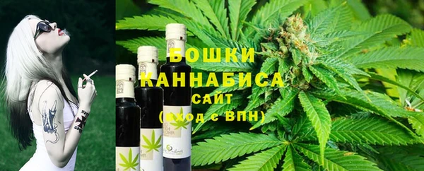 прущие грибы Горнозаводск